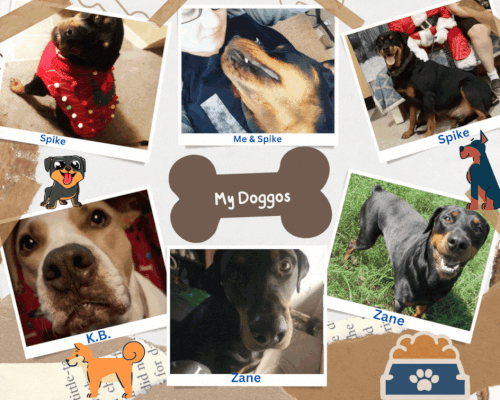 Brown Ripped Paper Cute Dog Bones HBD Photo Collage.gif