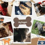 Brown Ripped Paper Cute Dog Bones HBD Photo Collage