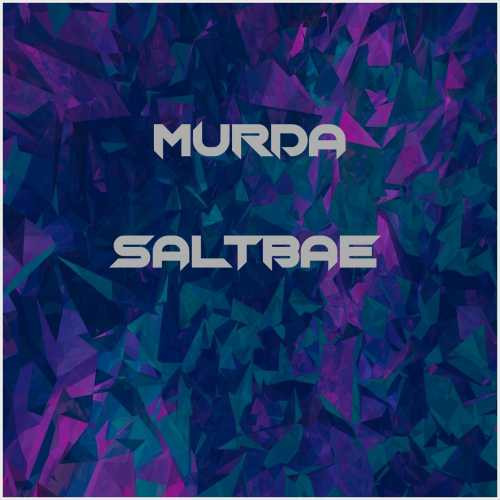 دانلود آهنگ جدید Murda به نام Saltbae