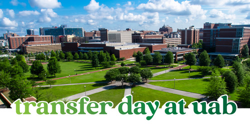 SR23 TransferDay Blackthorn.jpg