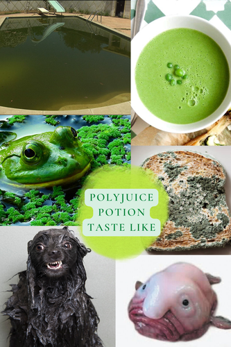 Gay Green Color Palette Modern Aesthetic Moodboard Photo Collage.png