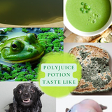 Gay Green Color Palette Modern Aesthetic Moodboard Photo Collage