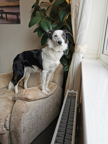 IMG 20191128 134308.jpg