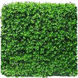 hedge