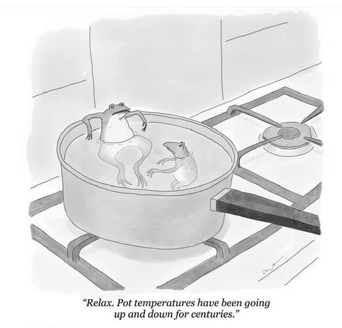frogs.jpg