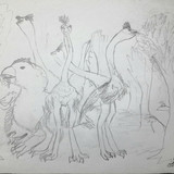 Giraffe Birds