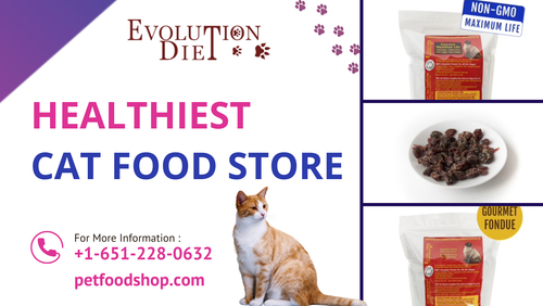 Healthiest Cat Food Store.png