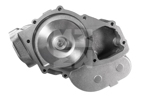 M4842007 3.jpg