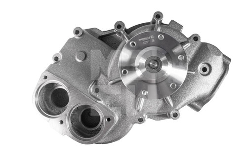 M4842007 2.jpg