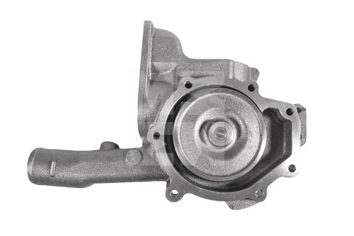 M4842009 3.jpg