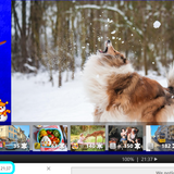 Bi Weekly Puzzler snowball fight