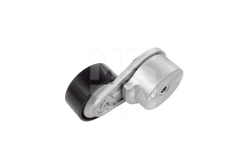 M6411006 (2).jpg