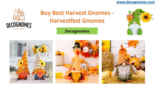 Buy Best Harvest Gnomes Harvestfest Gnomes – Decognomes.jpg