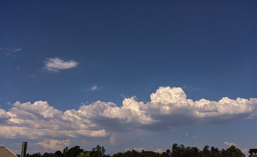 IMG 20230822 160135.jpg