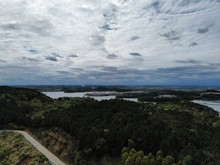 A3987bea8e31246a78127010aaeb2161dI.jpg 220x220.jpg