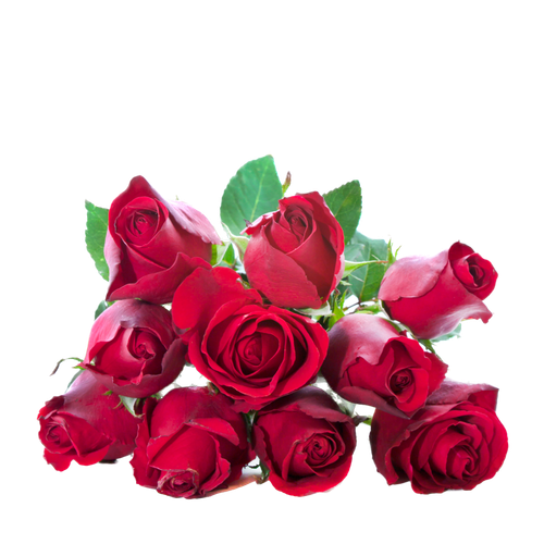 valentine romance leaf passion affection Background Removed.png