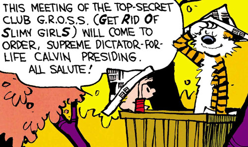 collection image 1720931 Calvin and Hobbes Gross 201712121010.jpg