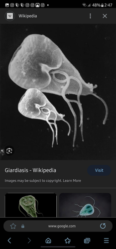 1692661674391.png