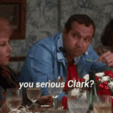 you serious clark cousin eddie