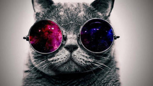 cool profile picture 1ecoo30f26bkr14o.jpg