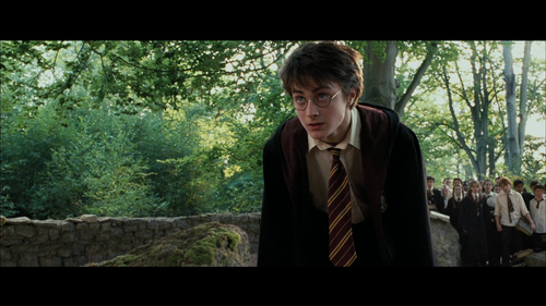 Harry Potter and the Prisoner of Azkaban 2004 1080p Blu ray Multisub Remux VC 1 LPCM 5.1 KRaLiMaRKo .png
