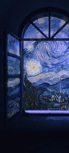 The starry night.jpg
