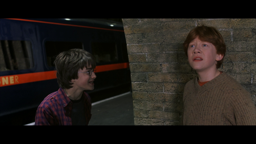 Harry Potter and the Chamber of Secrets 2002 Ultimate Extended Edition 1080p Blu ray Multisub Remux .png