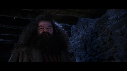 Harry Potter and the Sorcerer's Stone 2001 Ultimate Extended Edition 1080p Blu ray Multisub Remux VC.png