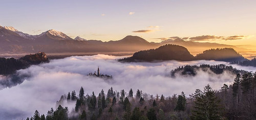 cc0 desktop backgrounds fog foggy.jpg