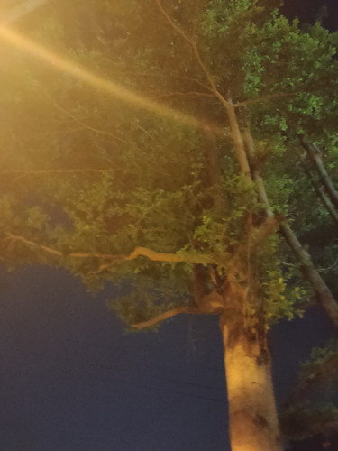 IMG20230816195915.jpg
