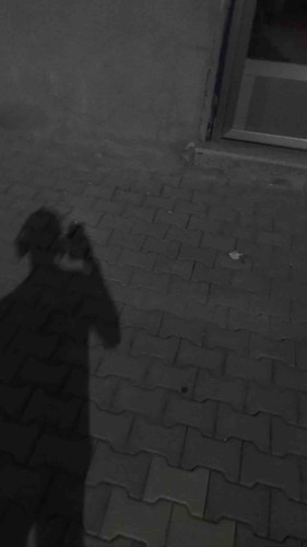 AFECC596 015D 4AB7 8EA5 57F1B1FF0889.jpg
