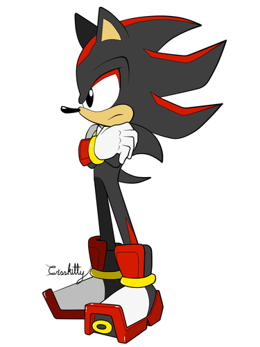 Untitled 2.png