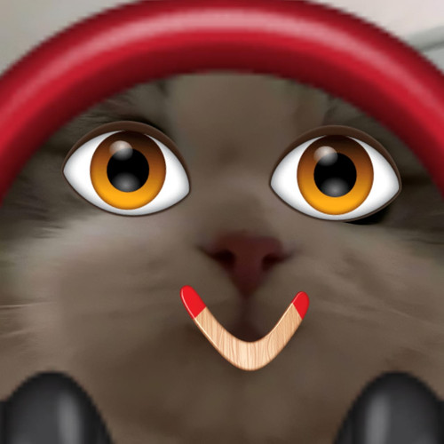 image.jpg