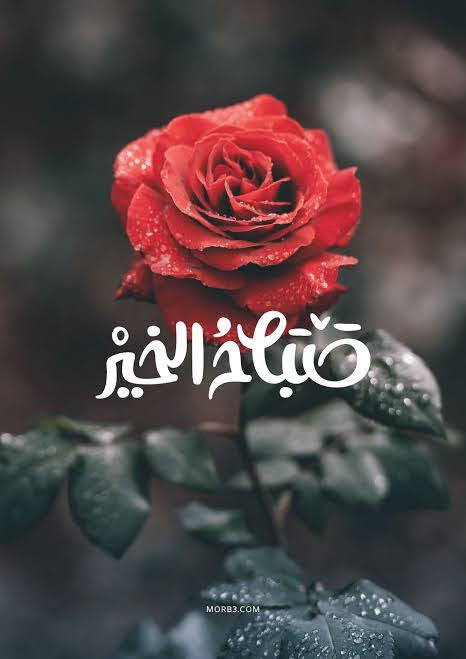 ٢٠٢٢٠٥٢٠ ٠٥٥٢٤٧.jpg