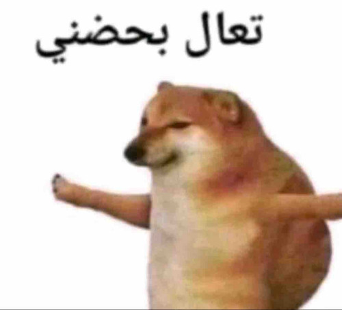 45571253 F9D1 412A A96E E9EE6A8BB1BB.jpg