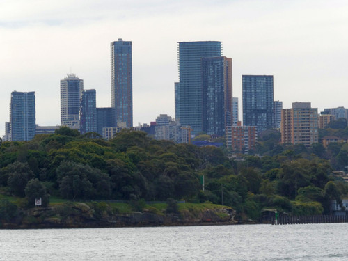 P1001600.jpg