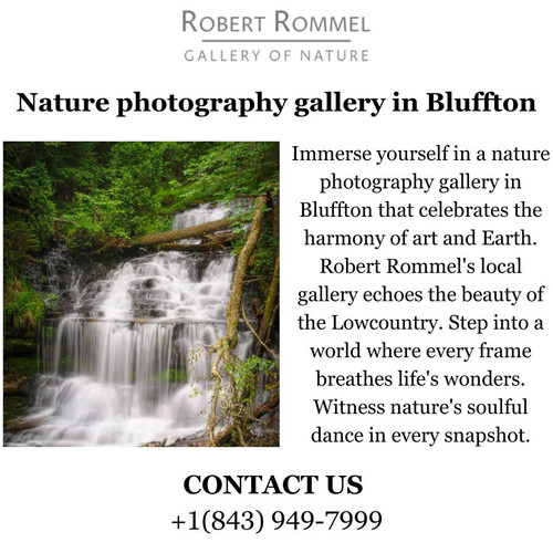 Robert Rommel Photography Image.jpg
