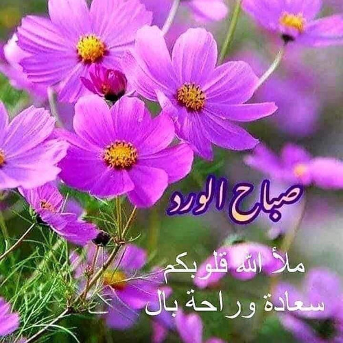 IMG 20230821 WA0000.jpg