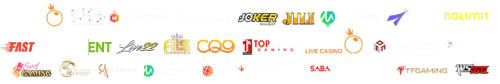providers.webp