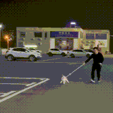 kot8.gif