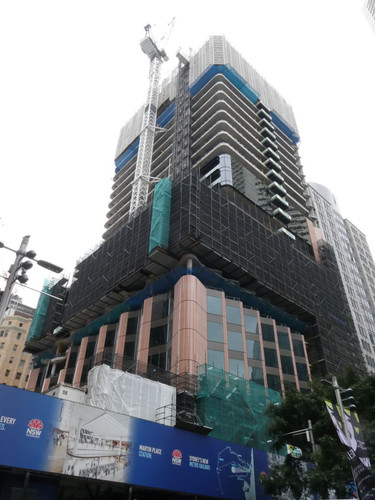 P1001647.jpg