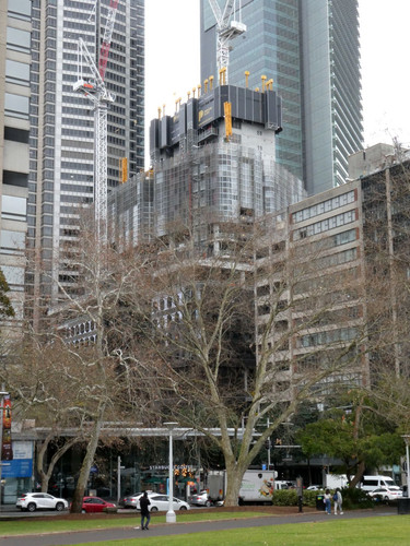 P1001638.jpg
