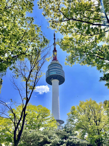 namsan photo optimized.jpg
