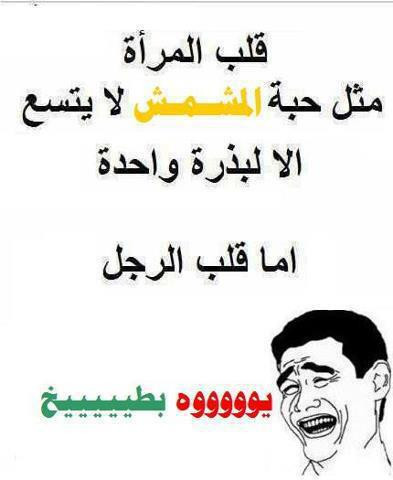فقف.jpg