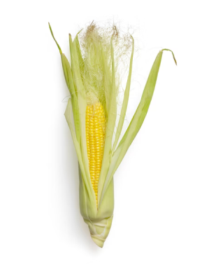 fresh corn.png