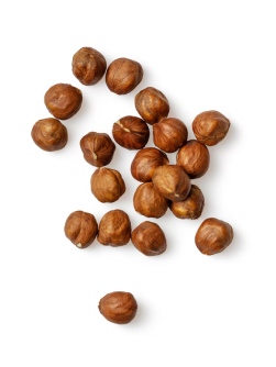 brown hazelnut.png