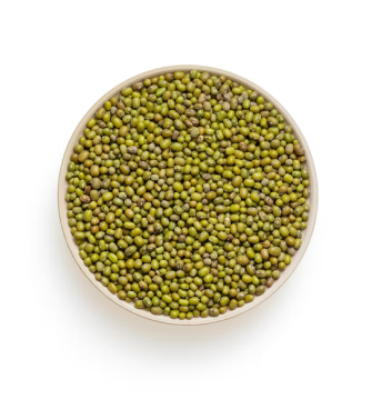 mung bean.png