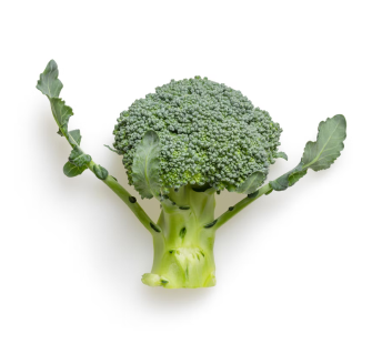broccoli.png