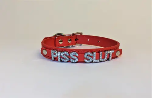 PissSlutKinkCollar 533x (1).webp