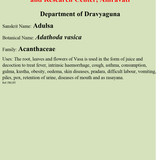 QR Code Adulsa